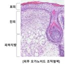 바이오텍 이미지