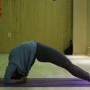 오렌지 휘트니스 이미지