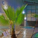 제주산방산탄산온천 이미지