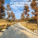홍성 서해바다인근 복토공사 평탄작업 인터넷.수도. 전기 완료 체류형쉼터 200평 5천만원 이미지