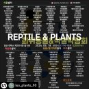 레오마켓 이미지