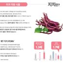 강화식물병원 | 연어 말고 '빨간 식물' DNA? 약대생이 분석한 안국약품 리쥬비더마의 재생 과학 (약국 전용)