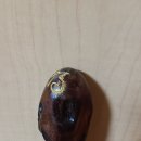 황금지팡이