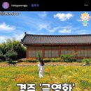새보문식당