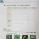 나비 한살이 이미지