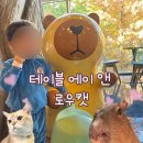 앤에이투어 | 실내동물원 인천 카피바라 만날 수 있는 테이블에이 앤 로우캣 종합이용권 후기 트리플스트리트 D동 주차