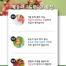 도원유통 네이버블로그