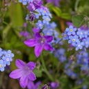 새롬교육 이미지