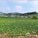 여주-1094 이미지