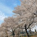 평사리공원1 이미지