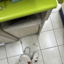 청산편의점 이미지