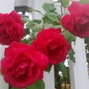 이반성 농공단지 이미지