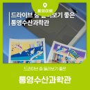 수산과학관 종합편의시설 | 통영 노을명소 드라이브코스 통영수산과학관