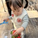 한가족농장 | 남양주 화도읍 더드림 물의정원 딸기체험농장_아기랑 가기 좋은 실내 딸기따기 체험후기