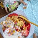 꼬마숲둥지어린이집 이미지