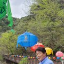 춘마곡점 | 세계유산 마곡사 춘마곡에 흠뻑[2025.4.19.토요일.흐림]