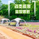 큰길요양병원 이미지