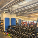 림스내과의원 | 마운자로, 일본으로 향하는 원정의 열풍과 그 이면 “약을 따라 국경을 넘는 사람들”