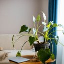 세라젬의료기 이미지