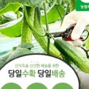 청년공수