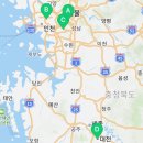 도그마루 강아지고양이 서초강남점 이미지
