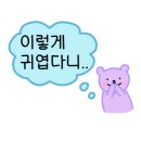 헬로퍼피1 네이버블로그
