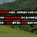 주식회사 포스파크