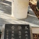 코리아둘레길 66회 20231122 남파랑길 26, 27코스 거제파출소에서 통영신촌마을까지