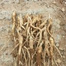 화창슈퍼 이미지