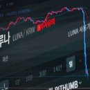 루나코퍼레이션