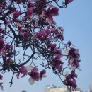 화원읍작은도서관 이미지