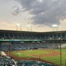 예주라이온스 이미지