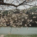 카페애룡호수 이미지