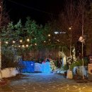 해인농장 | 대구 달서구 대형 카페 애견동반 가능한 크리스마스 트리 카페 롤링핀 수목원점