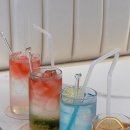 씨에스타 이미지