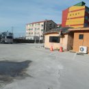 청솔(171) 이미지