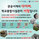 새샘초등학교 이미지