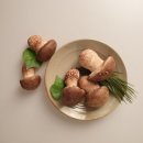 비타민소아청소년과의원 이미지