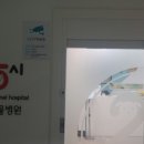 대구착한동물병원 이미지