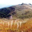 산장세탁소 이미지