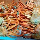 일번지PC 이미지