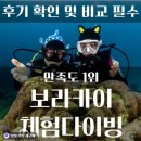 서해스킨스쿠버다이빙 | 블루핀 보라카이 스킨스쿠버 체험다이빙 자유여행 액티비티 후기 🤿