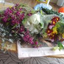 부평우일 이미지