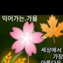 오늘도;별