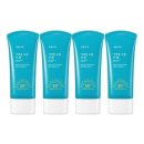 식물나라 이미지