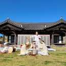 진도씻김굿 이미지