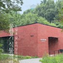 맑은물유치원 | 경기도 물향기수목원 후기｜경기도 산책하기 좋은 곳 가족나들이 데이트코스 추천