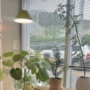 중앙농협 통합지원청사 | 무거동꽃집 울산대꽃집 문수체육관꽃집 울주군청꽃집 중앙농협통합지원청사