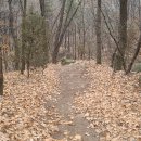 봉양1통 이미지