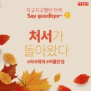 처서(處暑) 기념, 2023년 화담(和談)숲 단풍 후기